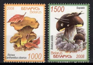 0720-0721