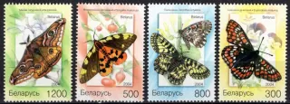 0557-0600 Fauna