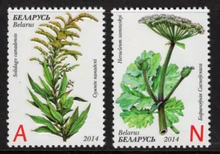 1021-1022 Flóra