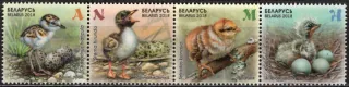 1229-1232 Fauna