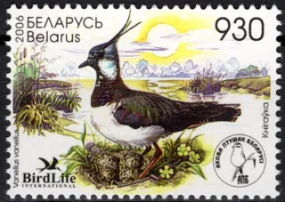 0617 Vtáky