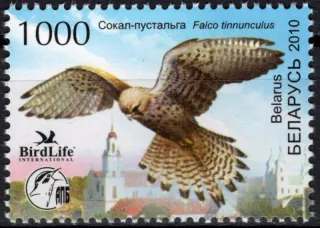 0798 Vtáky