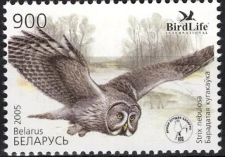 0582 Vtáky