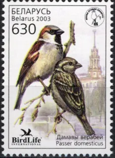 0484 Vtáky