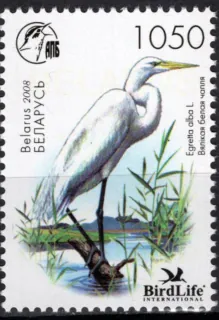 0703 Vtáky