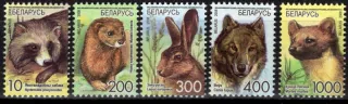 0707-0711 Fauna