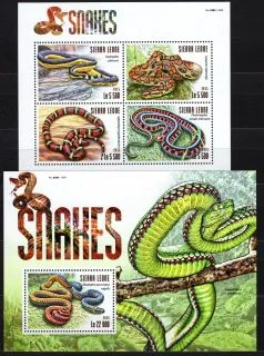 6347-6350 BL802 Fauna