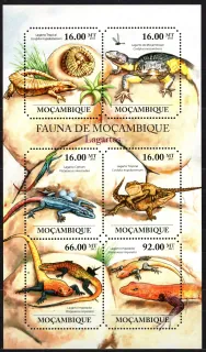 4854-4859 Fauna