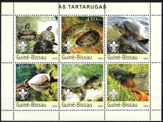 2548-2583 Fauna