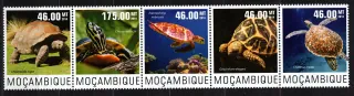 7580-7583 Fauna