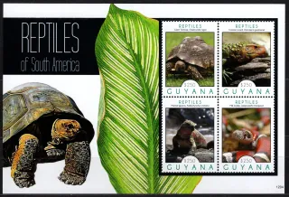 8290-8093 Fauna