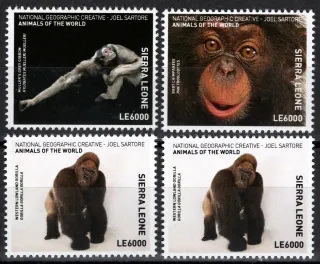 8008-8011 Fauna