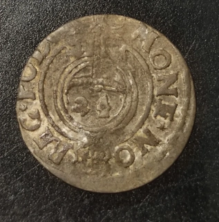 Poltorak Žigmund III.