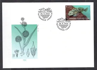 FDC 815
