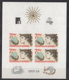 2704 B DVL