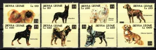 2125-2132 Fauna