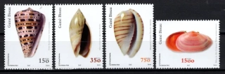 2021-2024 Fauna