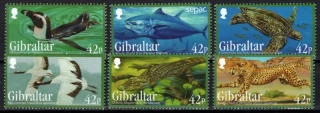 1568-1573 Fauna