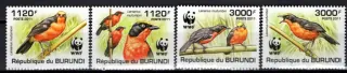 2126-2129 Fauna