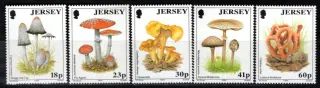 0639-0643 
