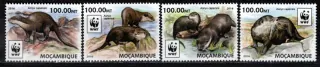 8884-8887 Fauna