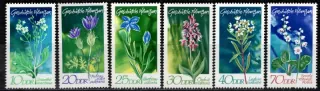 1563-1568 Kvety