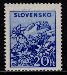107 V.V. **