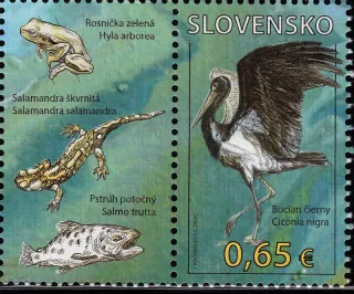 0596 KĽb