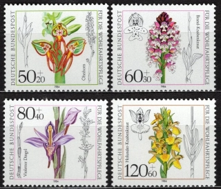 1225-1228 Flora