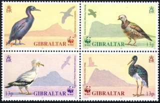 0619-0622 Vtáky