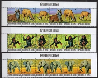 00793-00828 Fauna