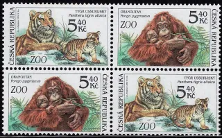 0302 - 0303 ** fauna