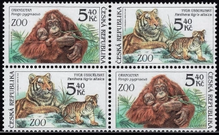 0303 - 0302 ** fauna