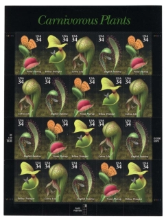 3482-3485 KB - Flora