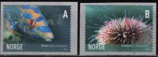 1589-1590