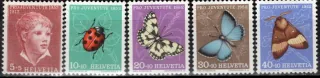 0575-0579 Fauna