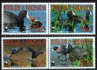 4702-4705 Fauna