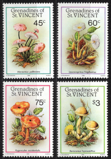 0493-0496 Flóra