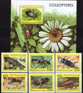 01894-01899 BL 535 Fauna