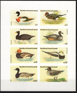 1444-1451 B Fauna