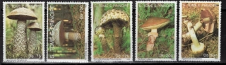 1346-1350 Hríby