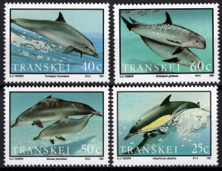 0267-0270 Fauna