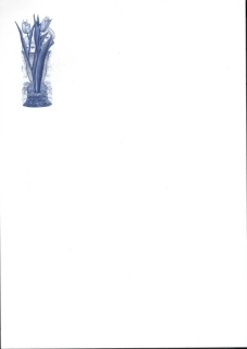 PT