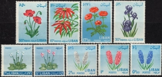 0847-0855 Flóra