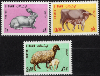 0911-0913 Fauna