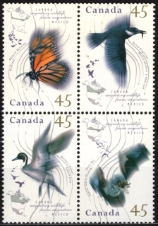 1500-1503 Fauna