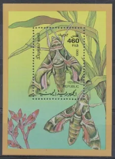 0022 BL 3 Fauna