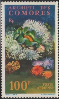 0050 Fauna
