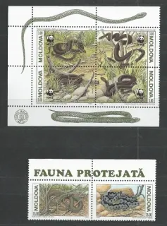 0050-0055  Fauna