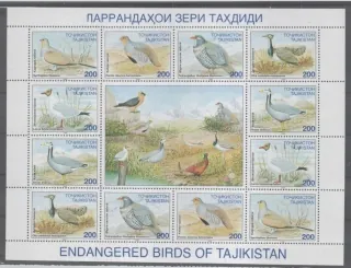 0080-0085 ZD Vtaky